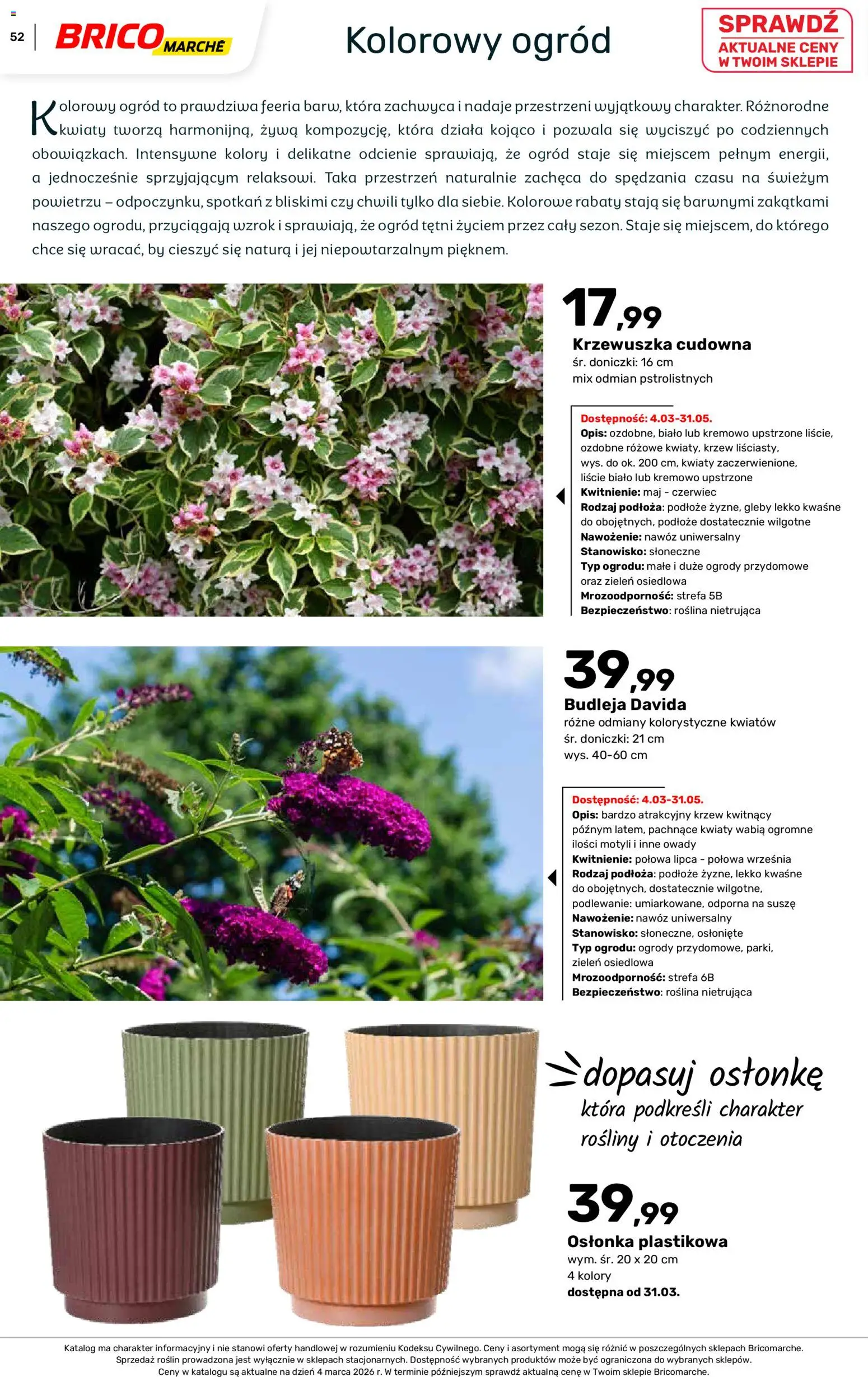 Brico Marché gazetka - Wiosna od 04.03.2026 | Strona: 52 | Produkty: Rosliny, Doniczki, Kwiaty