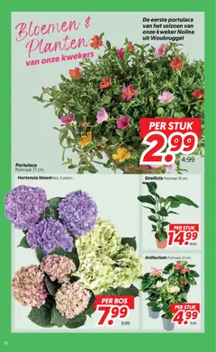 Dekamarkt folder - Voorbeeld van een folder van Dekamarkt, geldig van 09.06.2026 | Pagina: 18