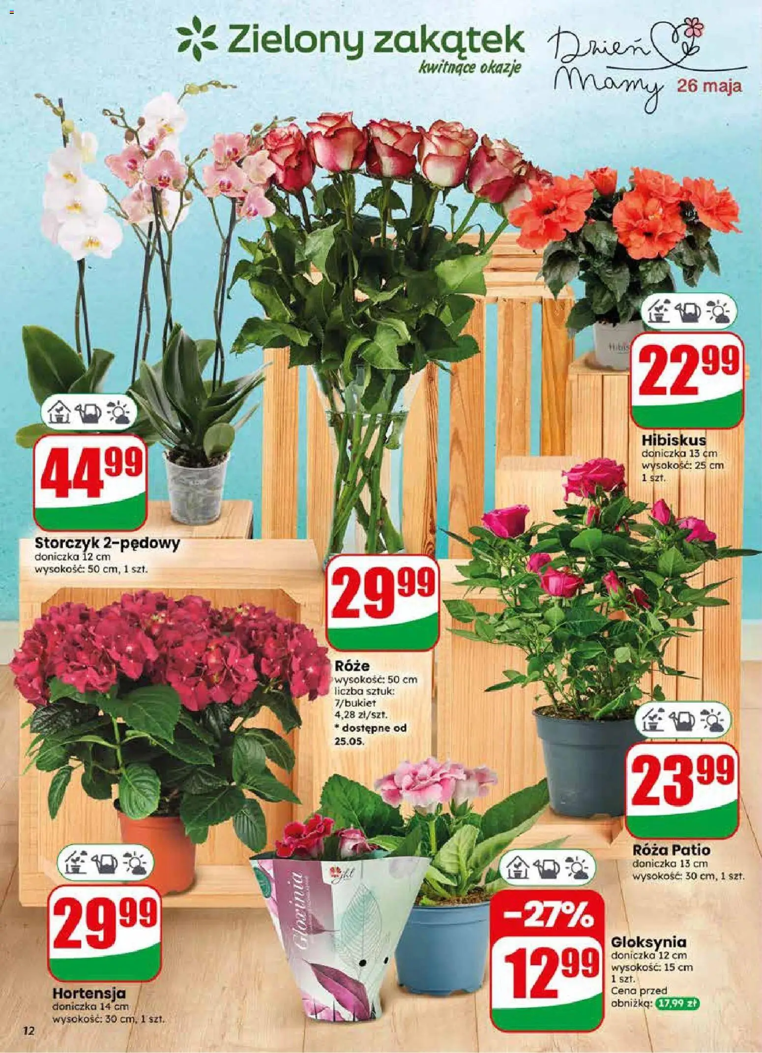 Dino gazetka od 20.05.2026 | Strona: 12 | Produkty: Doniczka, Storczyk