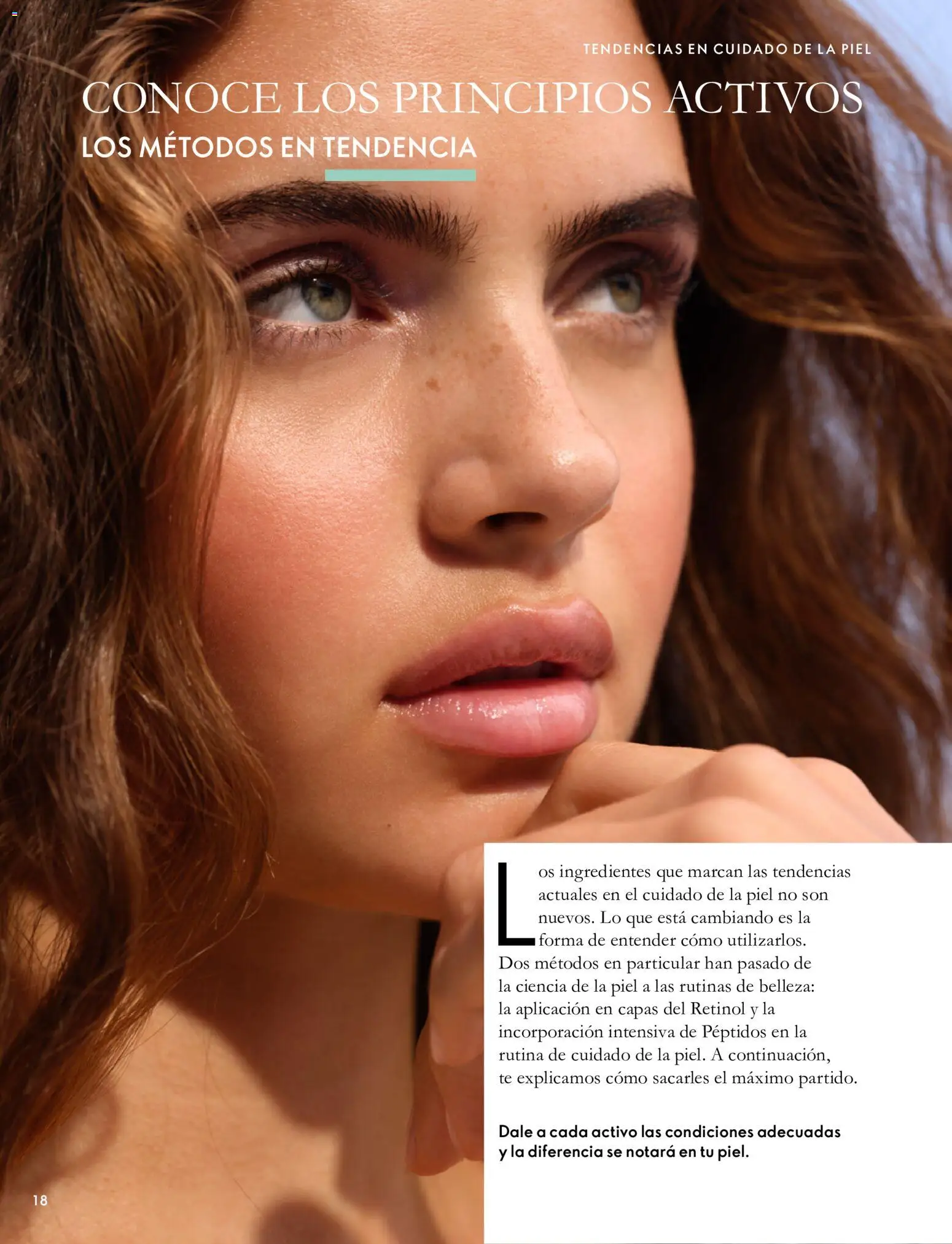 Oriflame - Catálogo Campaña 14 │ válido desde el 07/10/2026 | Página: 18 | Productos: Ingredientes, Té