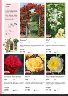 Náhled letáku Starkl katalog od 25.02.2026 | Strana: 106 | Produkty: Síť
