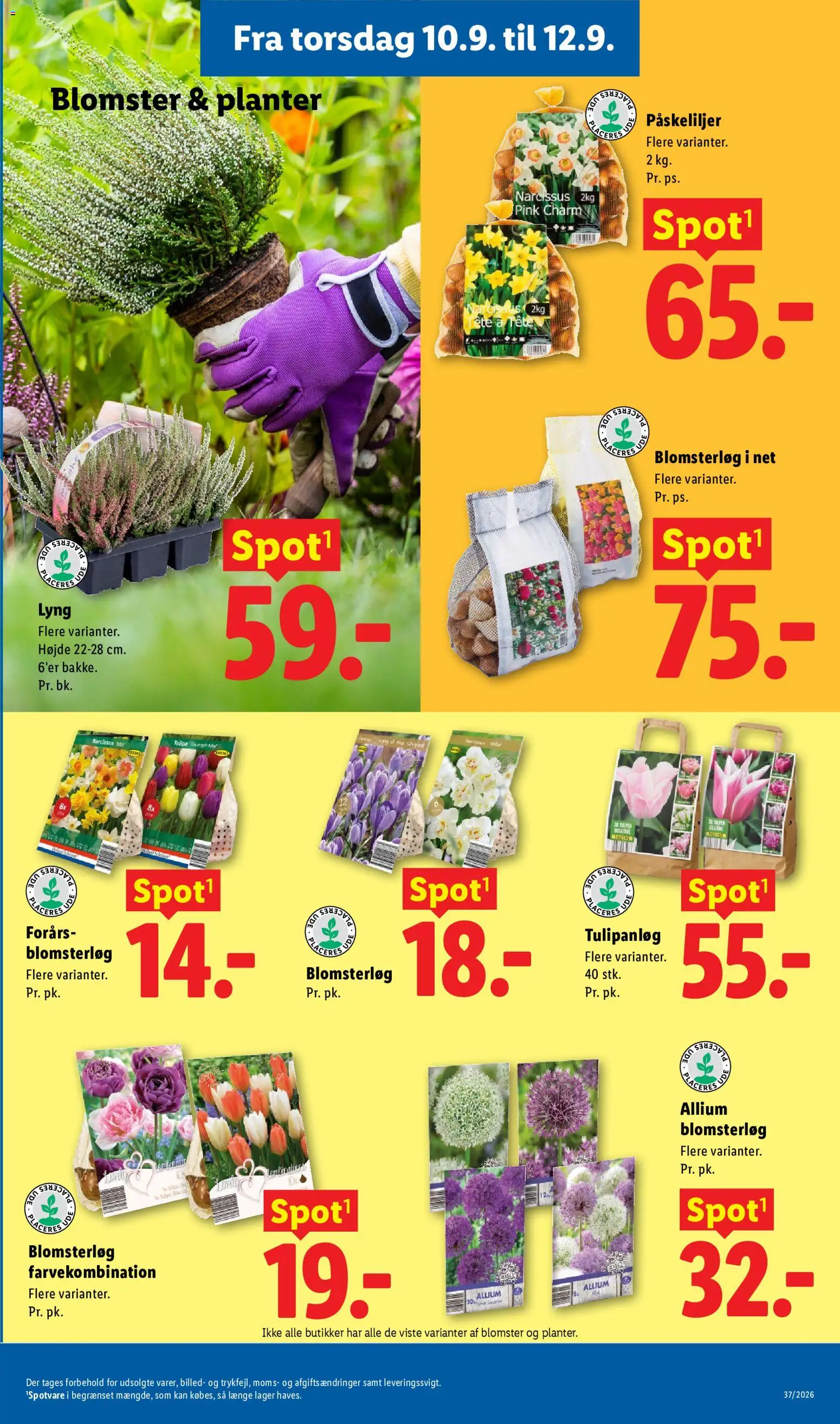 Lidl tilbudsavis – gyldig fra 06/09/2026 | Side: 32 | Produkter: Is, Søm