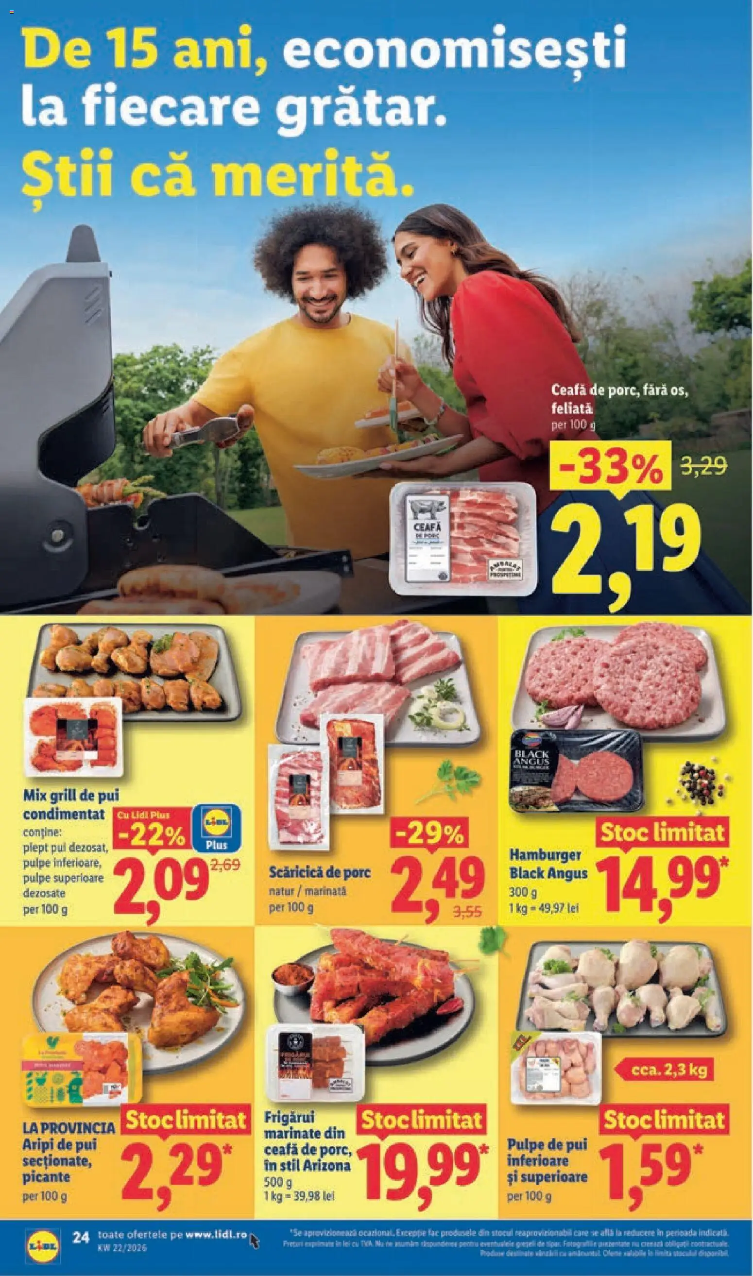 Noul catalog Lidl – valabil de la 25.05.2026 | Pagină: 24 | Produse: Grill, Hacıyatmaz Kedi Oyuncağı