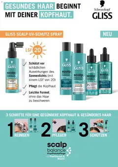 dm drogerie markt Journal Juli 2026 ab 09.07.2026 gültig | Seite: 12 | Produkte: Shampoo