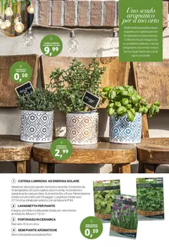 Anteprima del volantino IN's volantino Garden valido a partire dal 15.04.2026 | Pagina: 4 | Prodotti: Ortaggi, Prezzemolo, Cavo