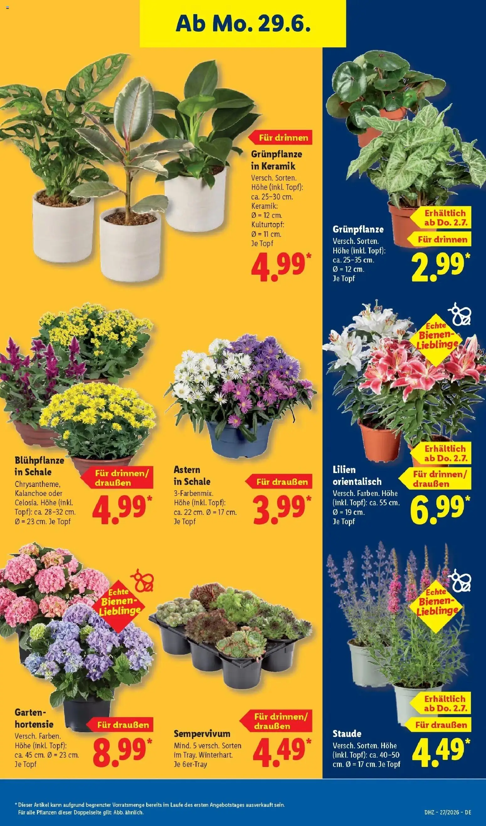 Lidl Prospekt Künzell – gültig ab 29.06.2026 | Seite: 35