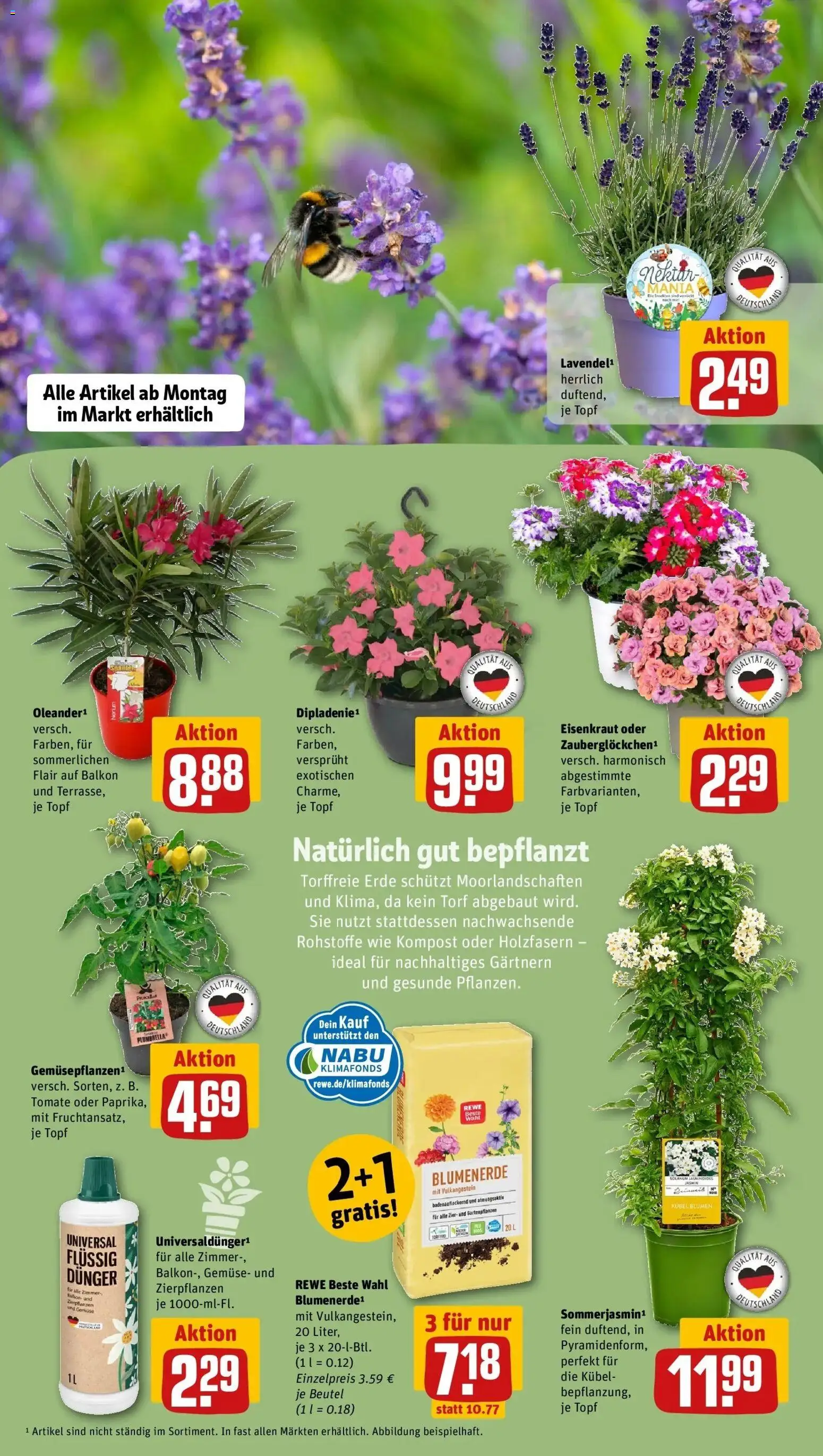 Rewe Prospekt Schwalmtal / Amern	 – gültig ab 10.05.2026 | Seite: 7 | Produkte: Blumen, Blumenerde, Gemüse