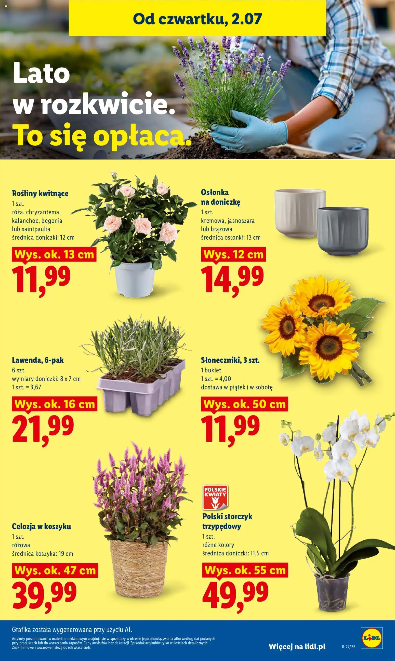 Lidl Polsko leták od 02.07.2026 | Strana: 81 | Produkty: Storczyk