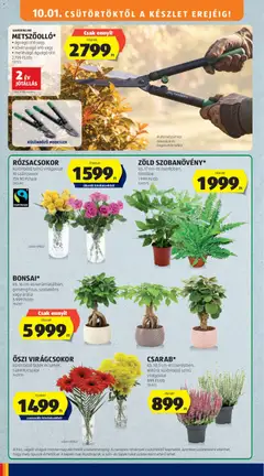Aldi akciós újság - amely érvényes a következő dátumtól: 2026.10.01. | Oldal: 40