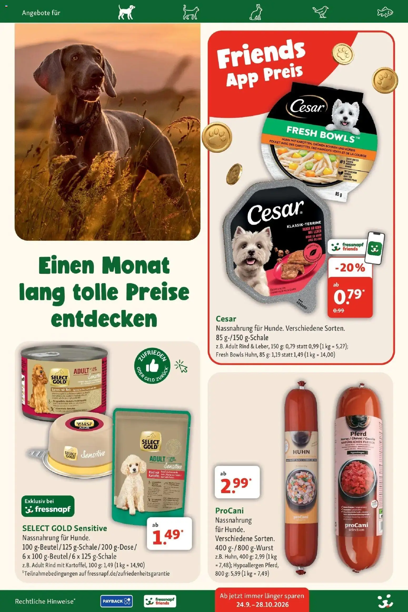 Fressnapf Aktueller Prospekt (ab 24.09.2026) zum Blättern | Seite: 4 | Produkte: Gemüse, Kürbis, Reis, Fleisch