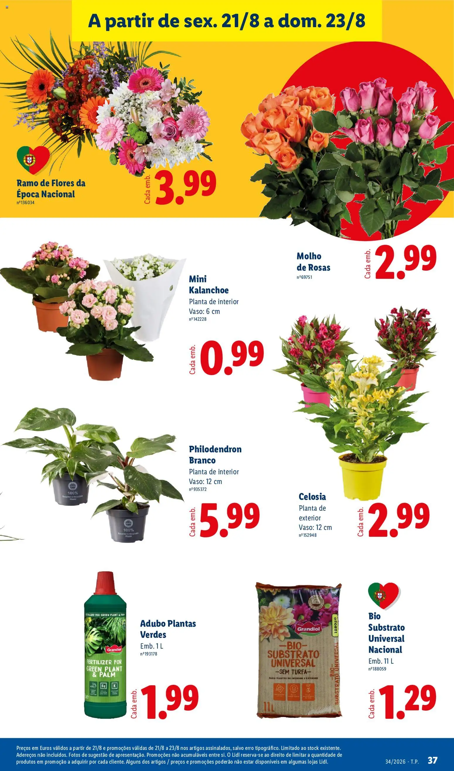 Lidl folheto │ válido de 17/08/2026 | Página: 37 | Produtos: Substrato, Substrato universal, Flores, Vaso