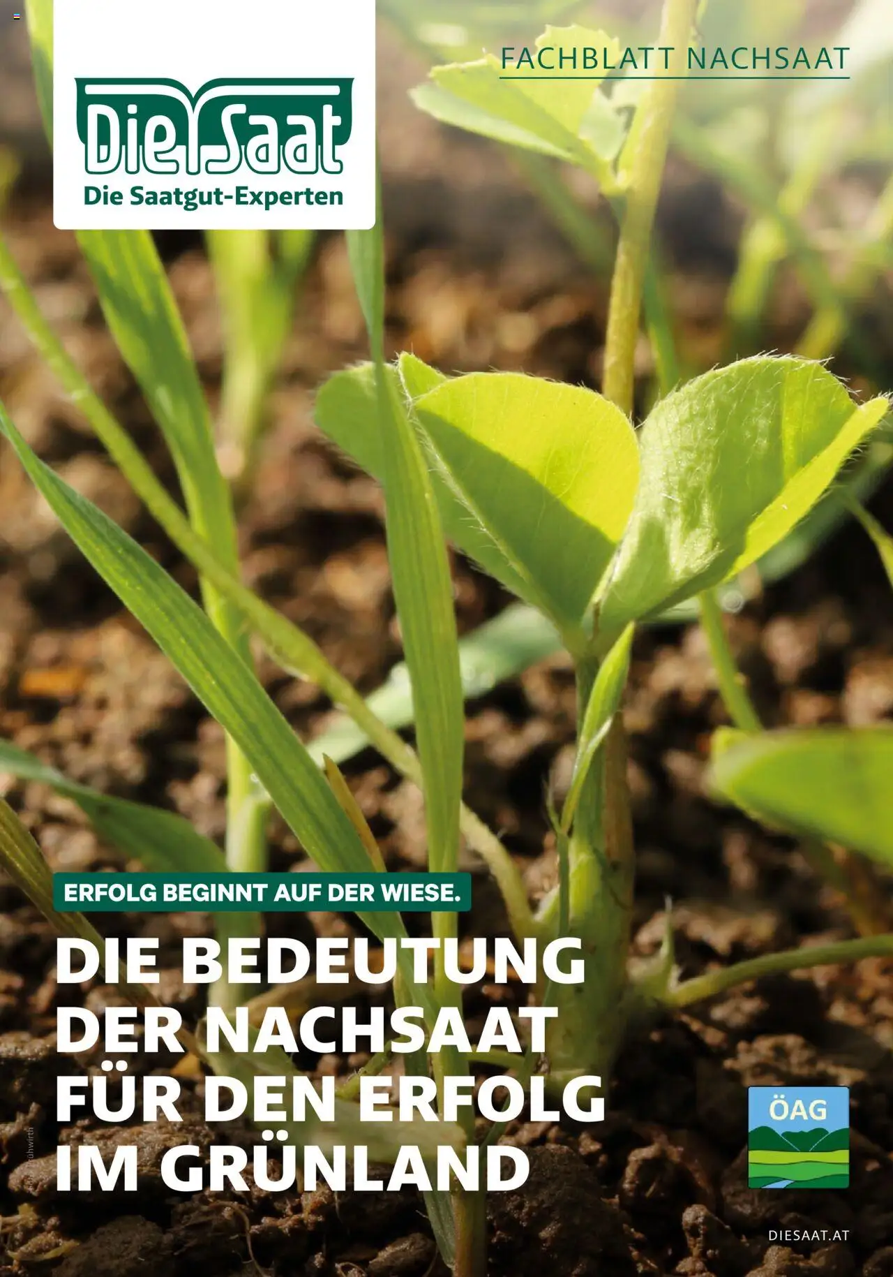 Lagerhaus Fachblatt Nachsaat gültig ab 02.03.2023 | Seite: 1