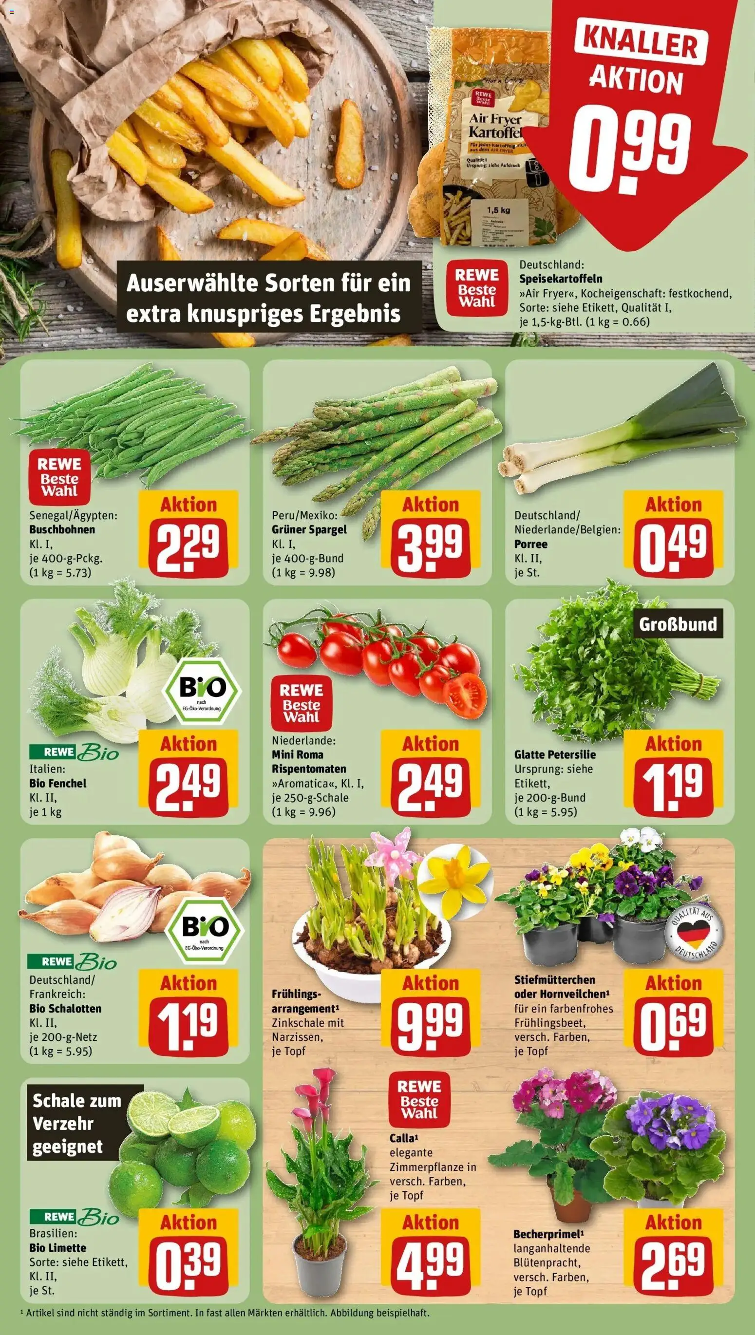Rewe prospekt Bielefeld	 – gültig ab 22.02.2026 | Seite: 7 | Produkte: Stiefmutterchen, Spargel, Limette, Petersilie