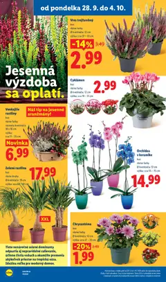 Lidl leták platný od 28.09.2026 | Strana: 51
