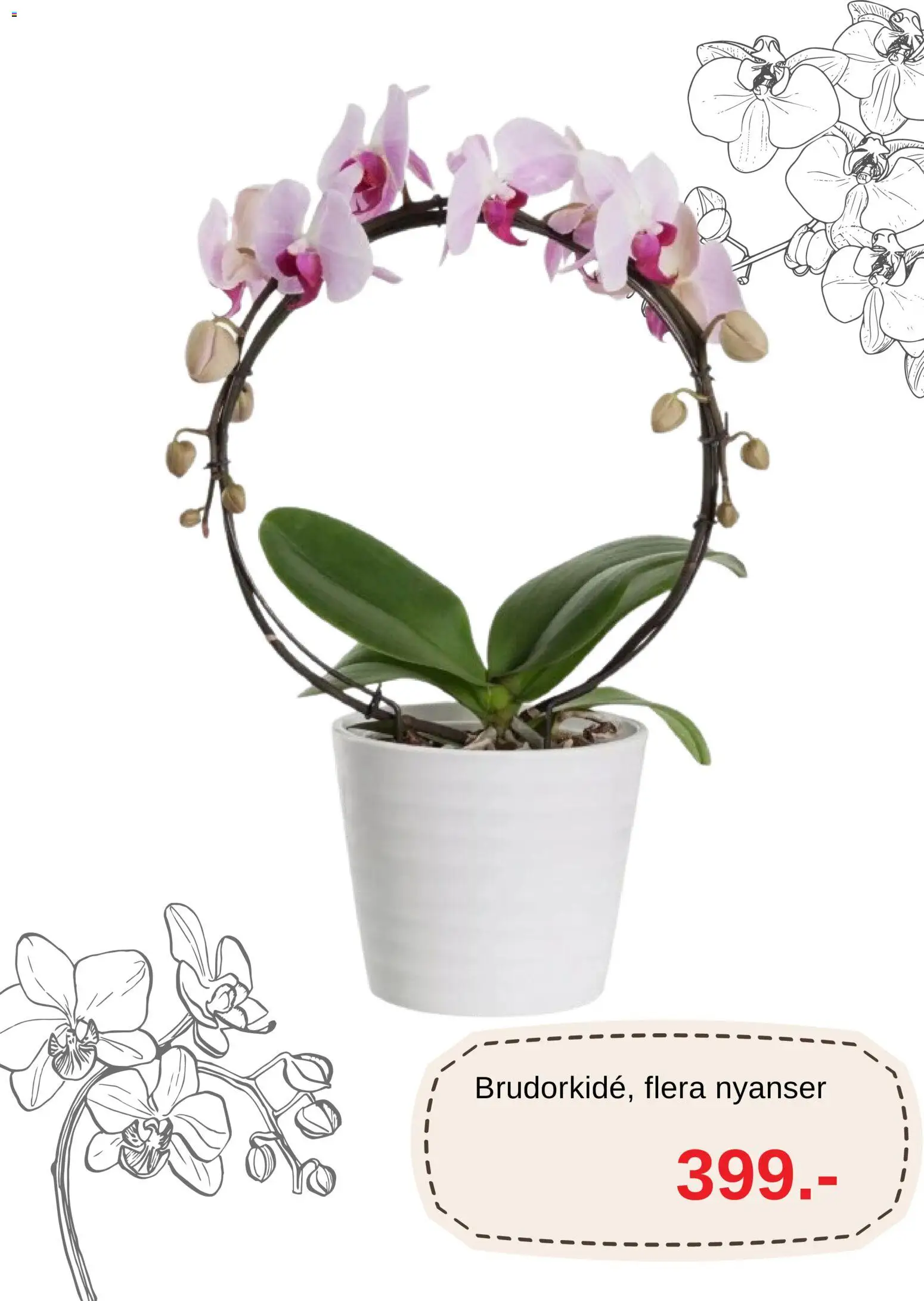 Blomsterlandet reklamblad aktuell från 09/10/2026 | Sida: 4