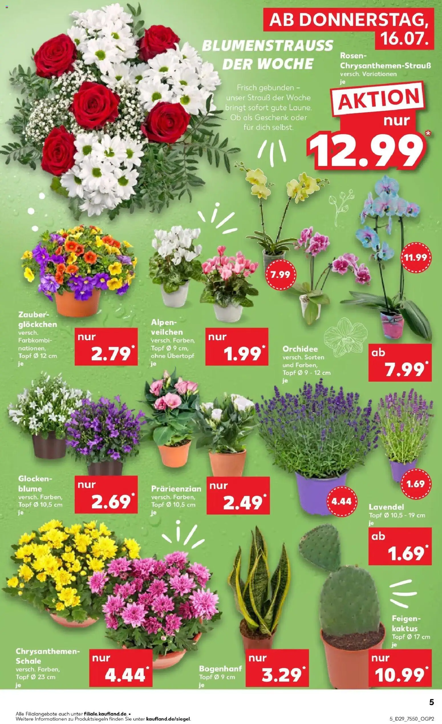 Kaufland Prospekt Rüsselsheim Am Main – gültig ab 13.07.2026 | Seite: 14 | Produkte: Orchidee, Lavendel, Feigen