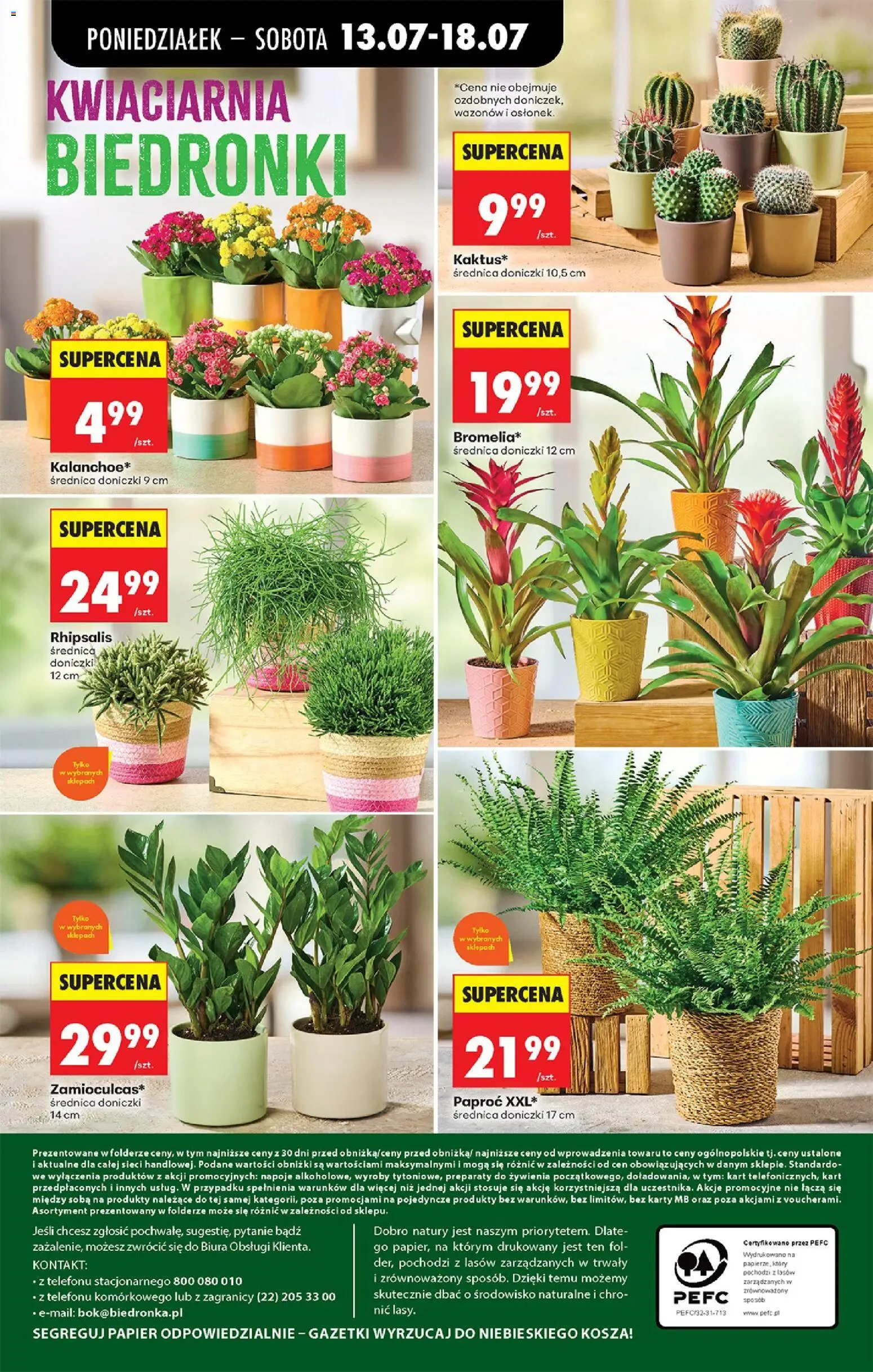 Biedronka gazetka od poniedziałku od 13.07.2026 | Strona: 31 | Produkty: Napoje, Zamioculcas, Doniczki, Kalanchoe