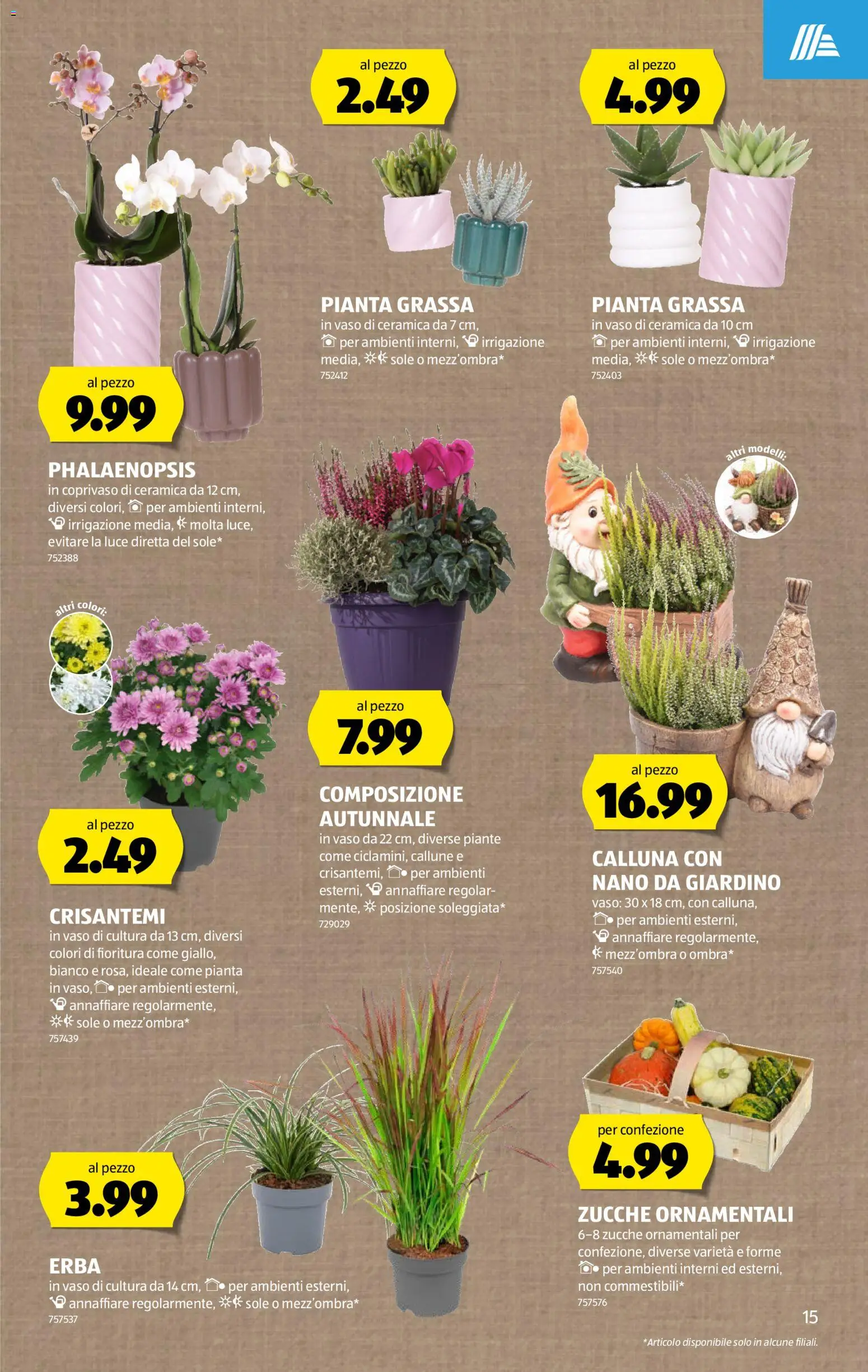 Aldi aktionen IT – gültig ab 08.10.2026 | Seite: 15