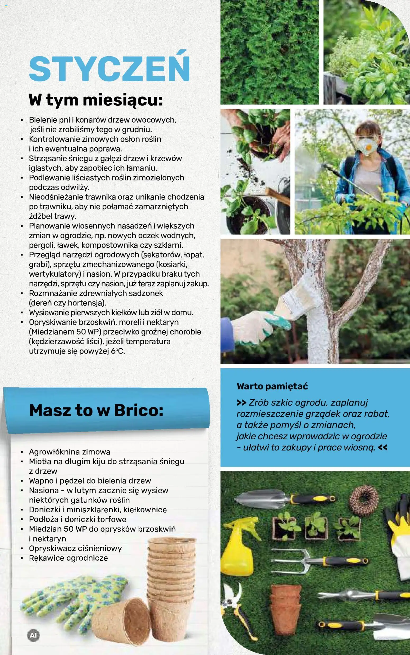 Brico Marché gazetka - Jesienne Inspiracje od 17.08.2026 | Strona: 100 | Produkty: Pędzel, Opryskiwacz, Nasiona, Opryskiwacz ciśnieniowy