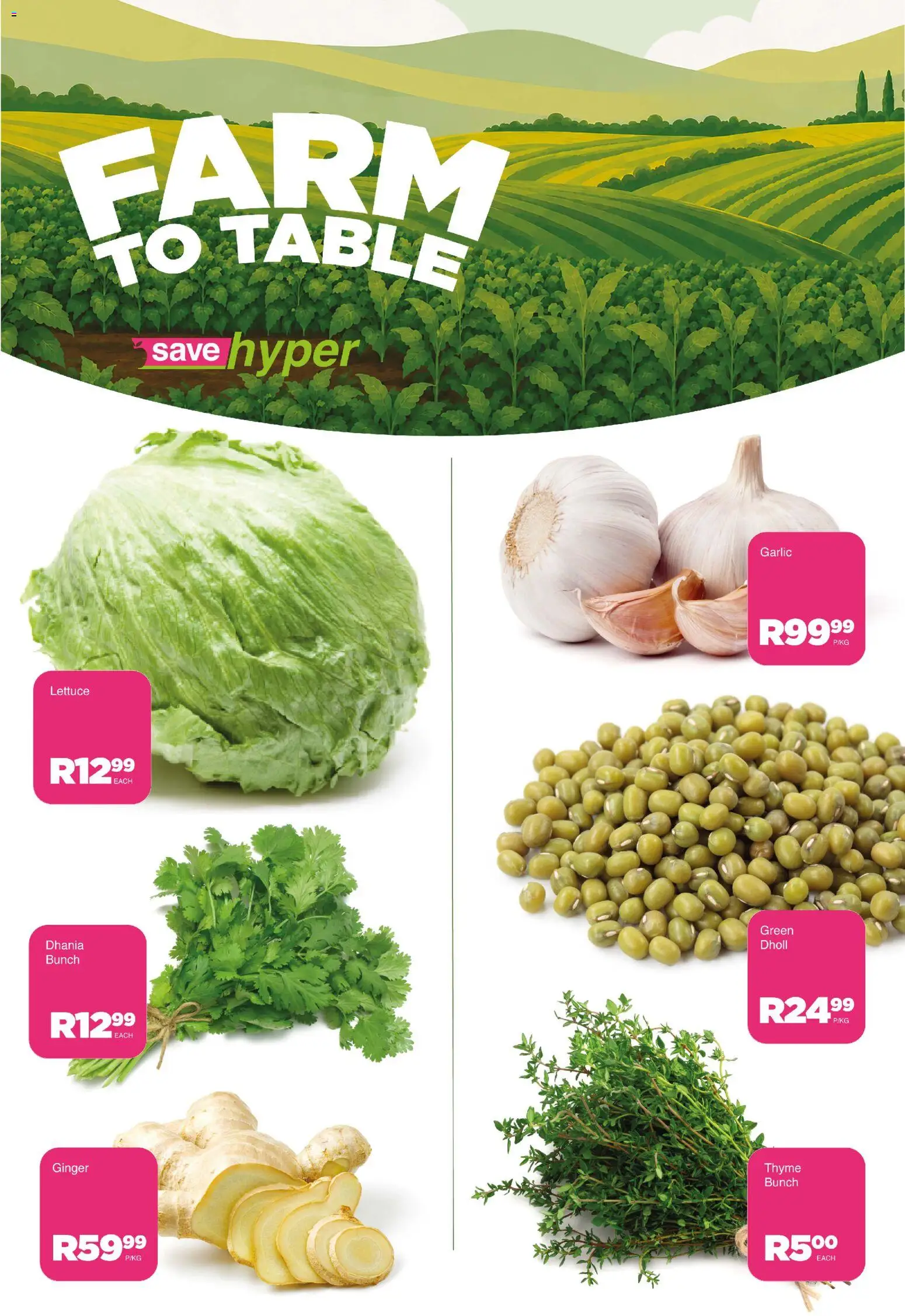 New Save catalogue – valid from 27/10/2026 | Page: 5 | Products: Table, Garlic, Lettuce