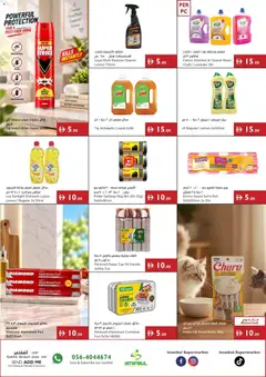 Preview of Istanbul Supermarket offers valid from 15 Oct, 2026 | Page: 13