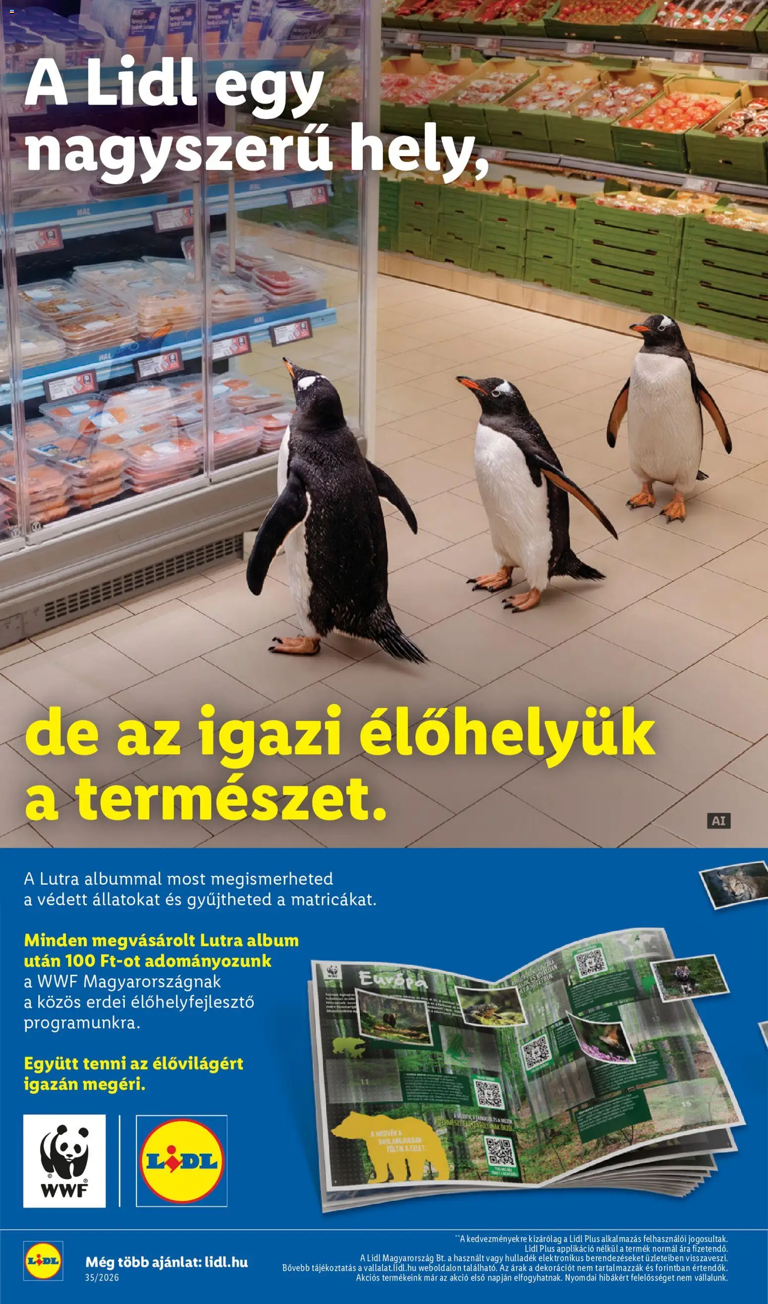 Lidl akciós ujság - amely érvényes a következő dátumtól: 2026.08.27. | Oldal: 36