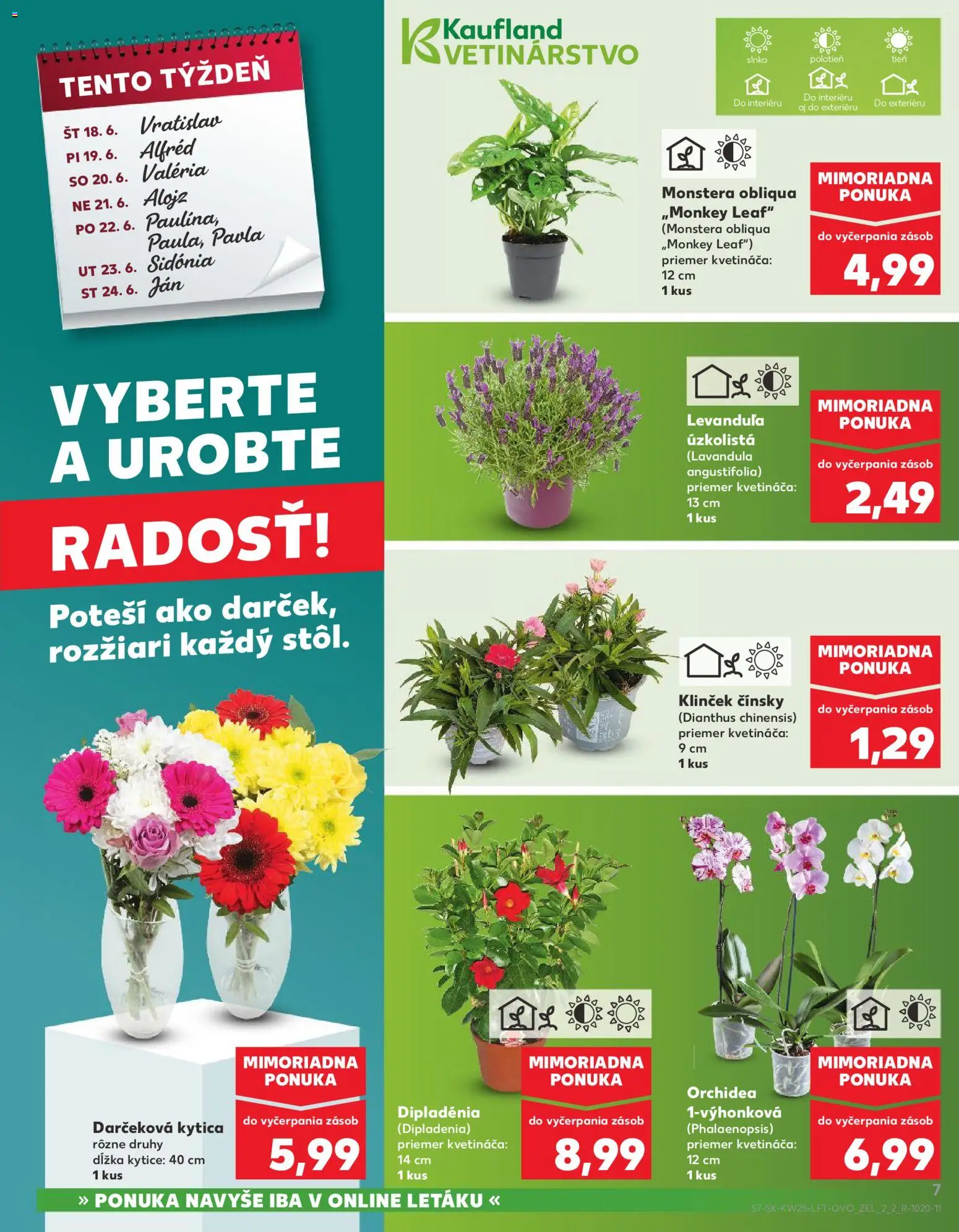 Nové Kaufland akcie – leták je platný od 18.06.2026 | Strana: 7 | Produkty: Orchidea
