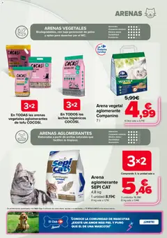 Vista previa Carrefour Mascotas válido desde el 25/06/2026 | Página: 19 | Productos: Polvo, Leche, Té
