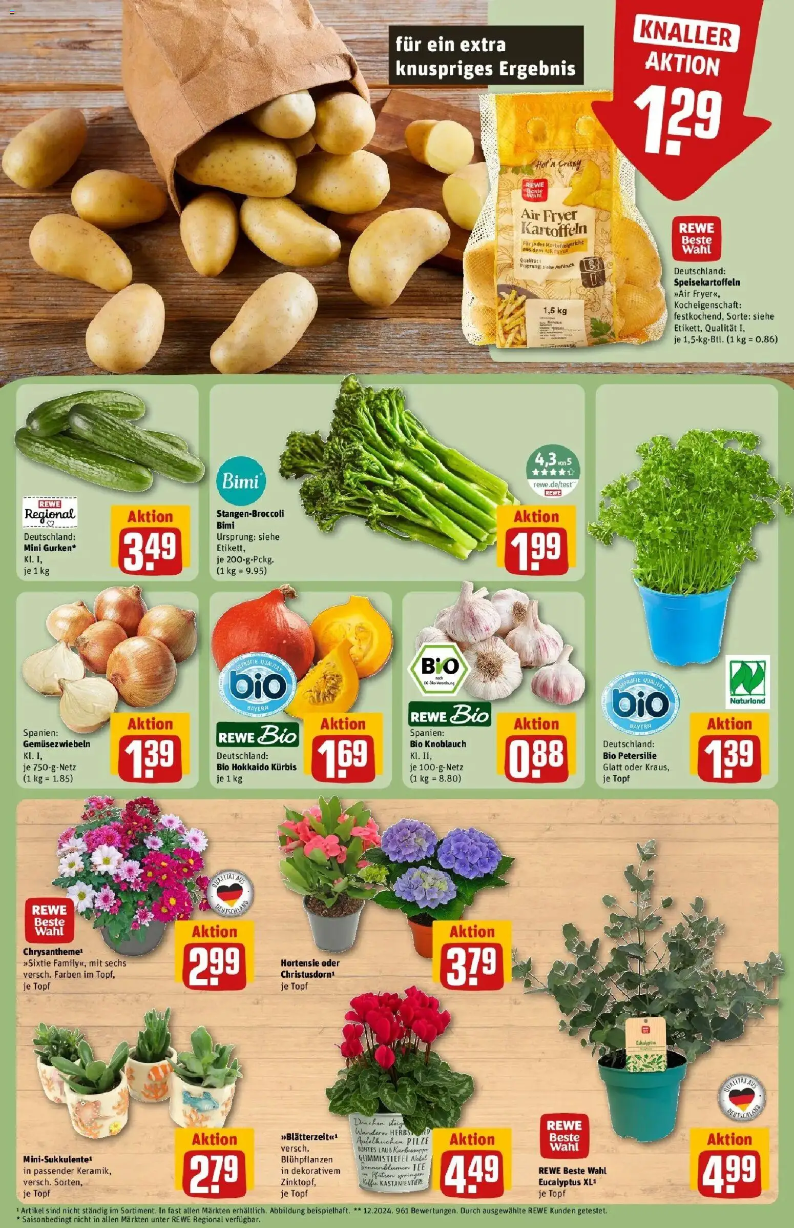 REWE Prospekt ab 24.08.2026 zum Blättern » Angebote | Seite: 7 | Produkte: Kartoffeln, Petersilie, Gummistiefel, Tee