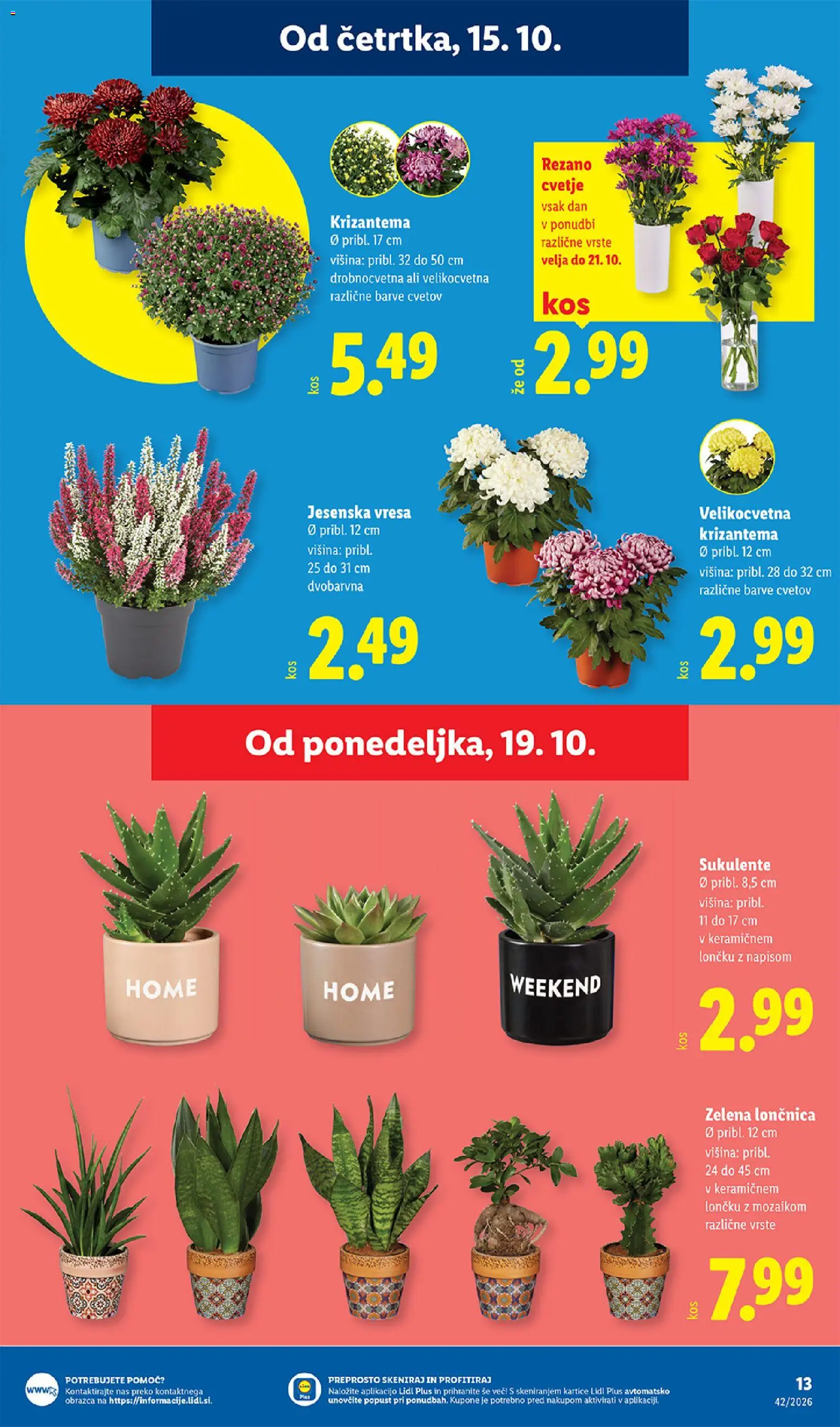 Novi Lidl katalog ponudbe – veljaven od 15.10.2026 | Stran: 27