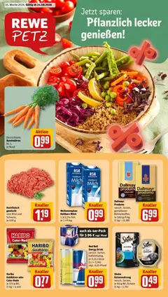 Rewe Prospekt Pulsnitz ab 24.08.2026 gültig