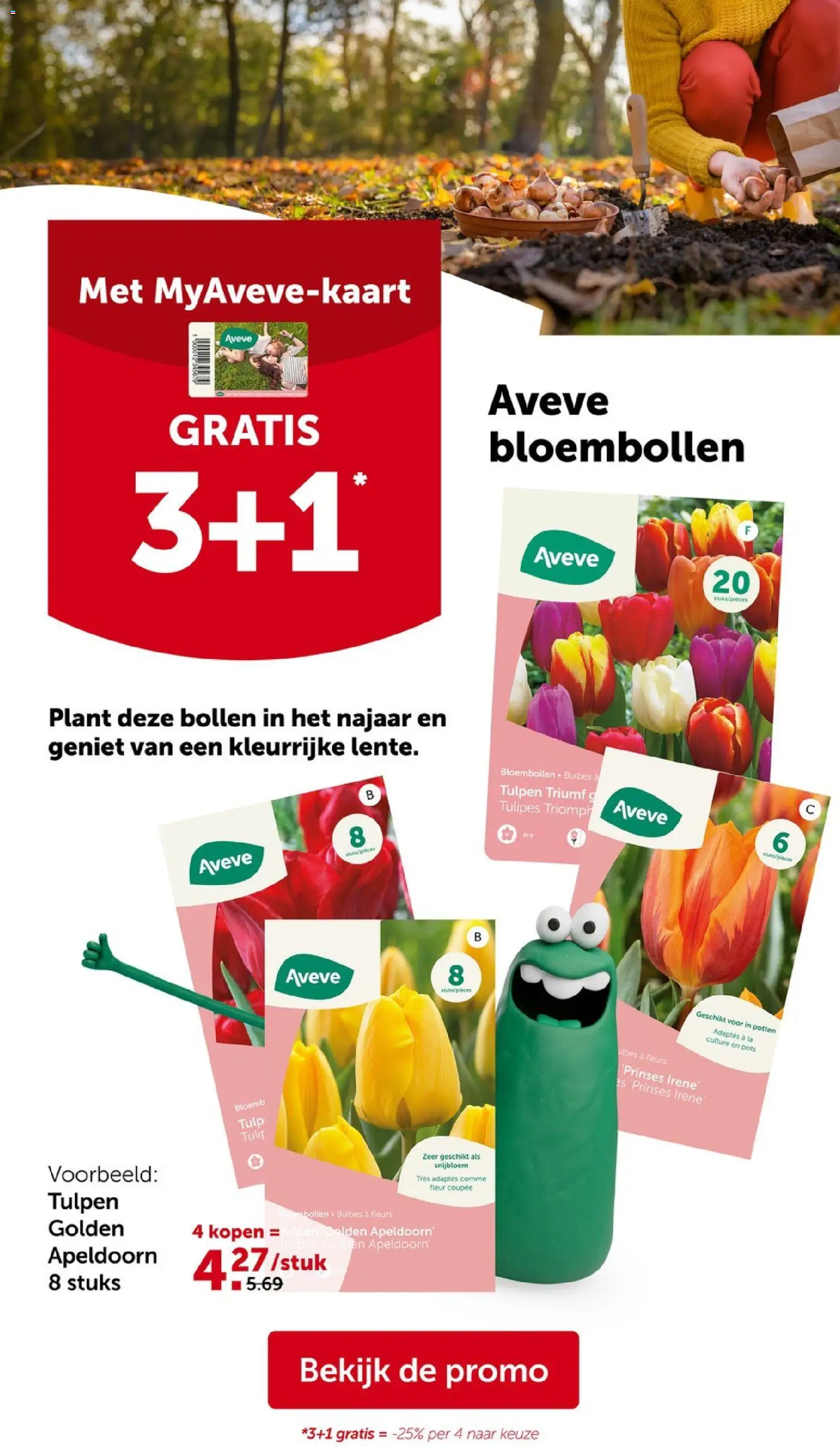 {H1} | Pagina: 22 | Producten: La, Tulpen