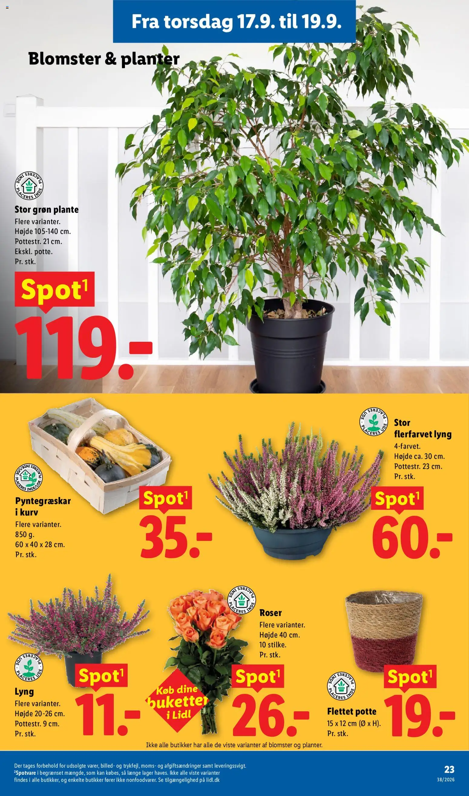 Lidl tilbudsavis – gyldig fra 13/09/2026 | Side: 11 | Produkter: Kurv, Søm