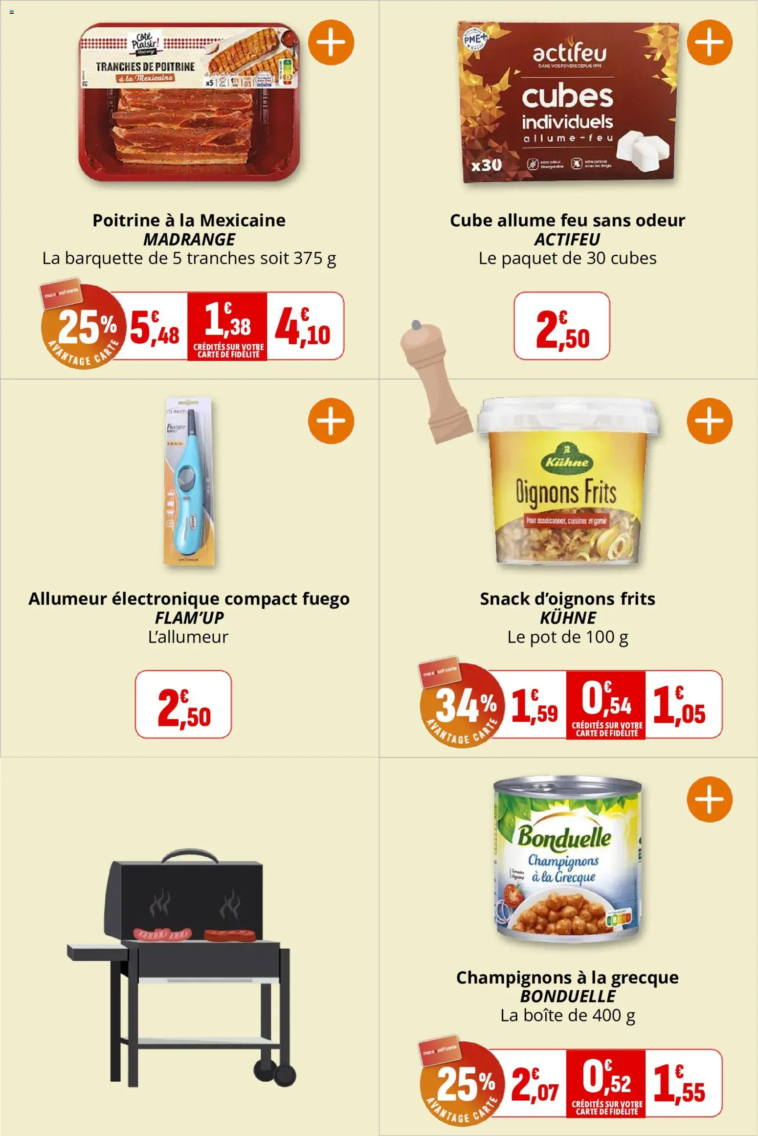 {H1} | Page: 13 | Produits: Allume feu, Oignons