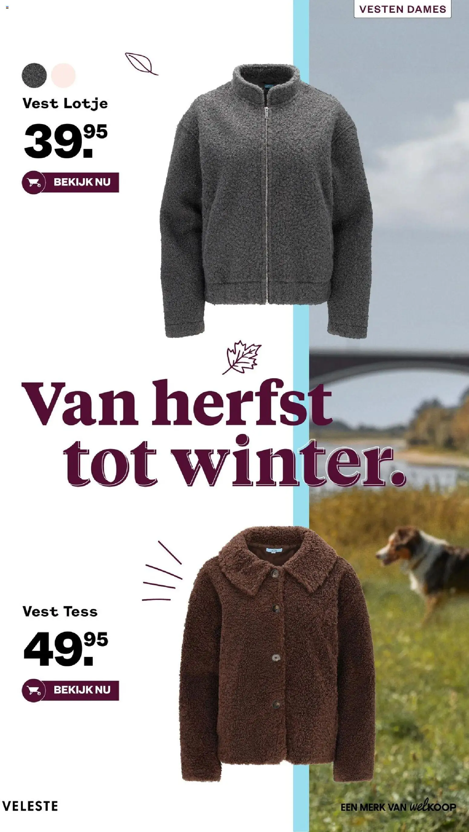 {H1} | Pagina: 40 | Producten: Vest, Vesten