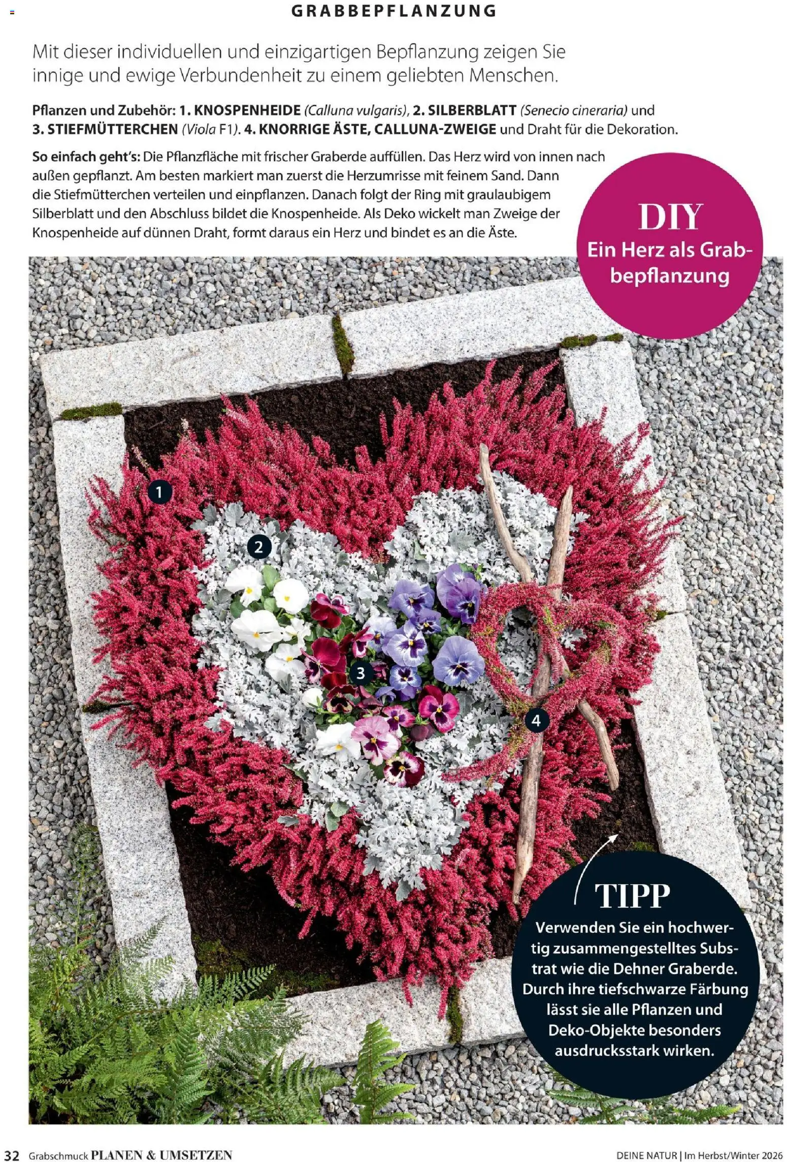 Dehner Prospekt – gültig ab 09.10.2026 | Seite: 32