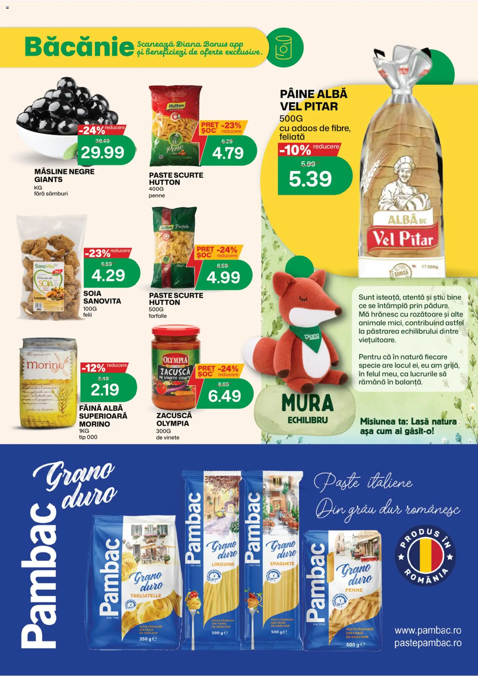 Noul catalog Diana – valabil de la 01.10.2026 | Pagină: 8