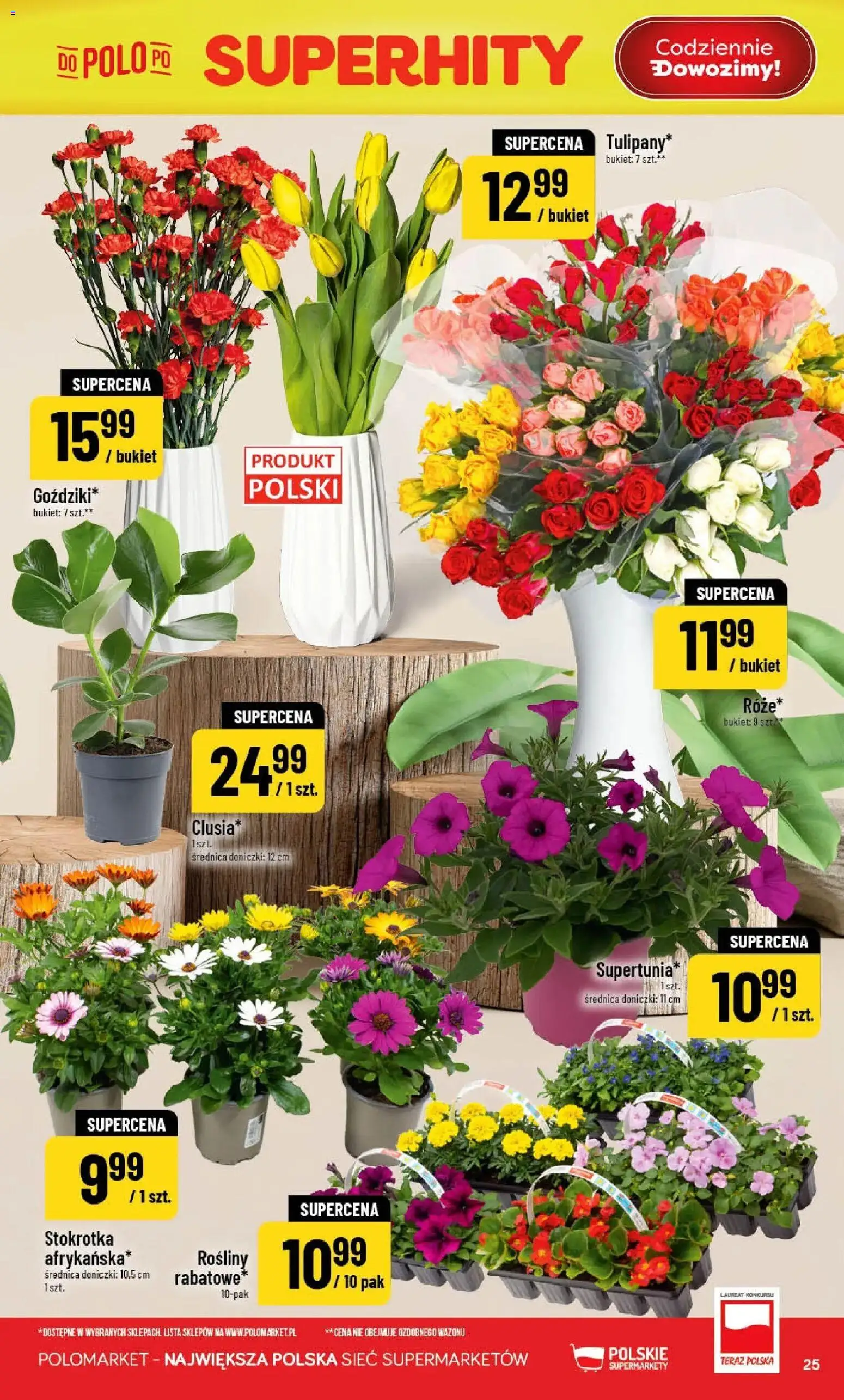 POLOmarket gazetka od 22.04.2026 | Strona: 25 | Produkty: Stokrotka, Rosliny, Doniczki