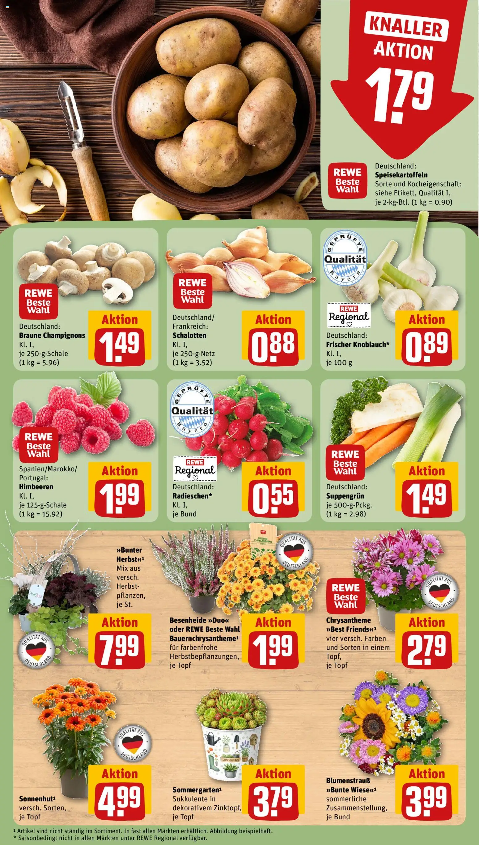 {H1} | Pagina: 7 | Producten: Champignons