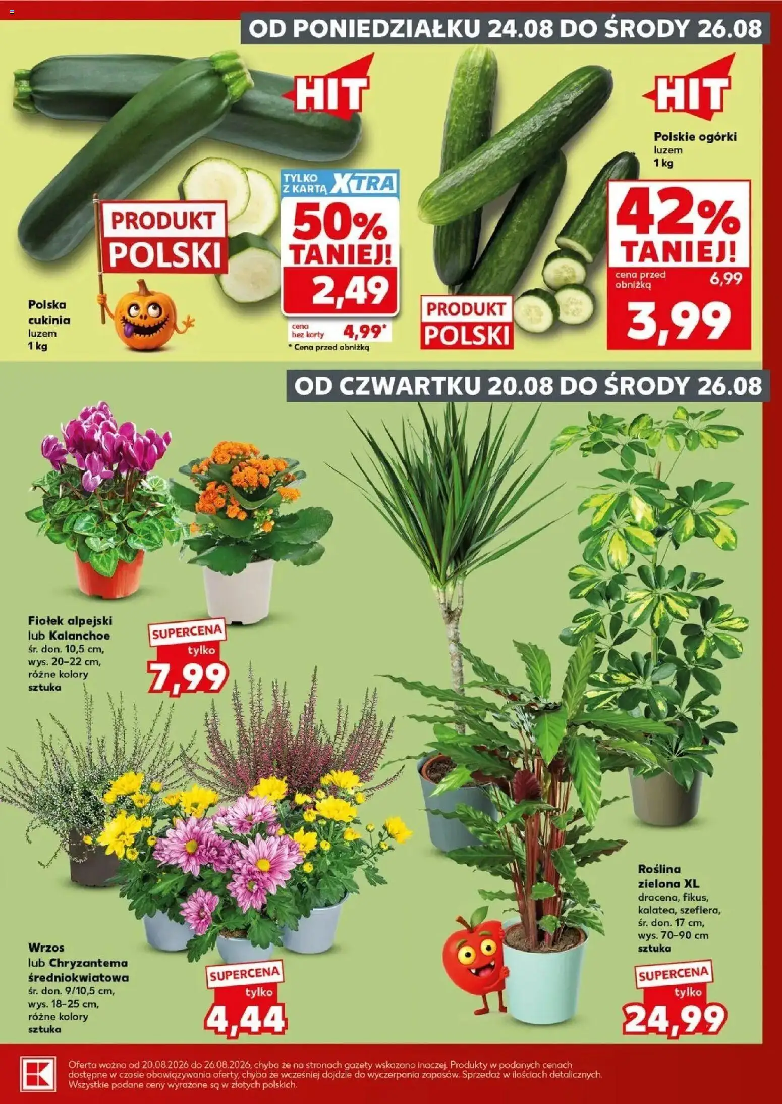 Kaufland gazetka - Mocny start od 24.08.2026 - od jutra PDF | Strona: 3 | Produkty: Karta, Gazety, Cukinia, Kalanchoe