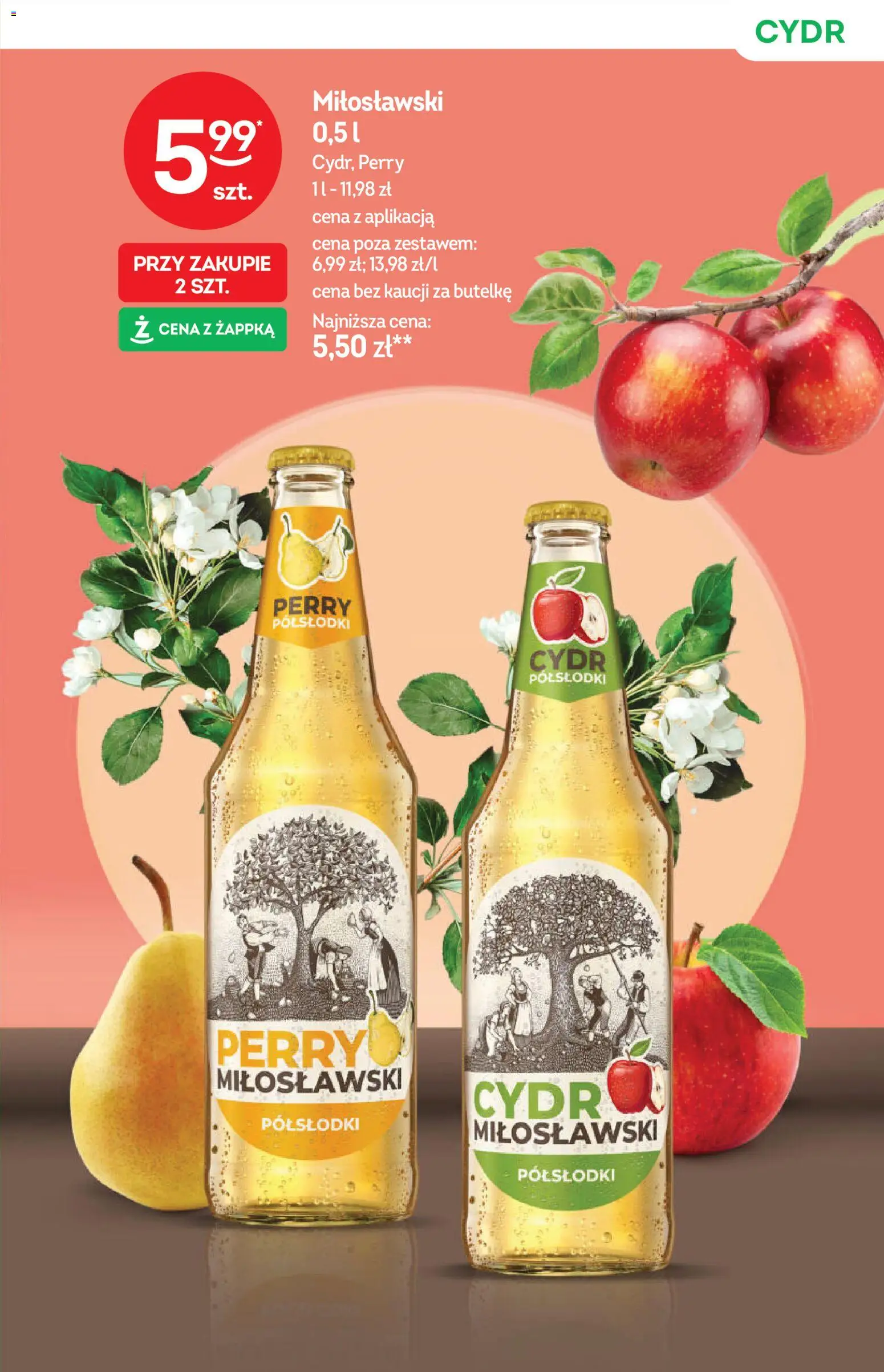 Żabka gazetka - Katalog win od 13.05.2026 | Strona: 17