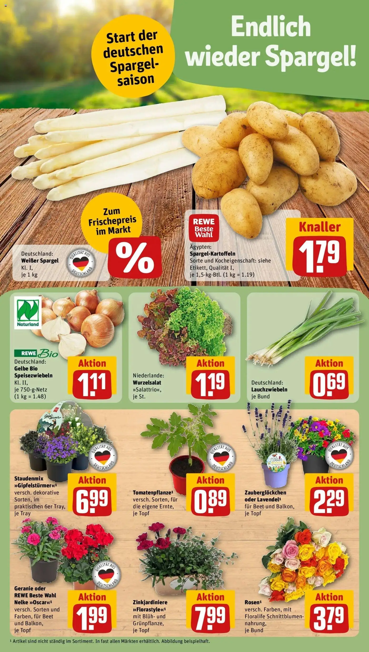 Rewe Prospekt Ranstadt	 – gültig ab 12.04.2026 | Seite: 5 | Produkte: Spargel