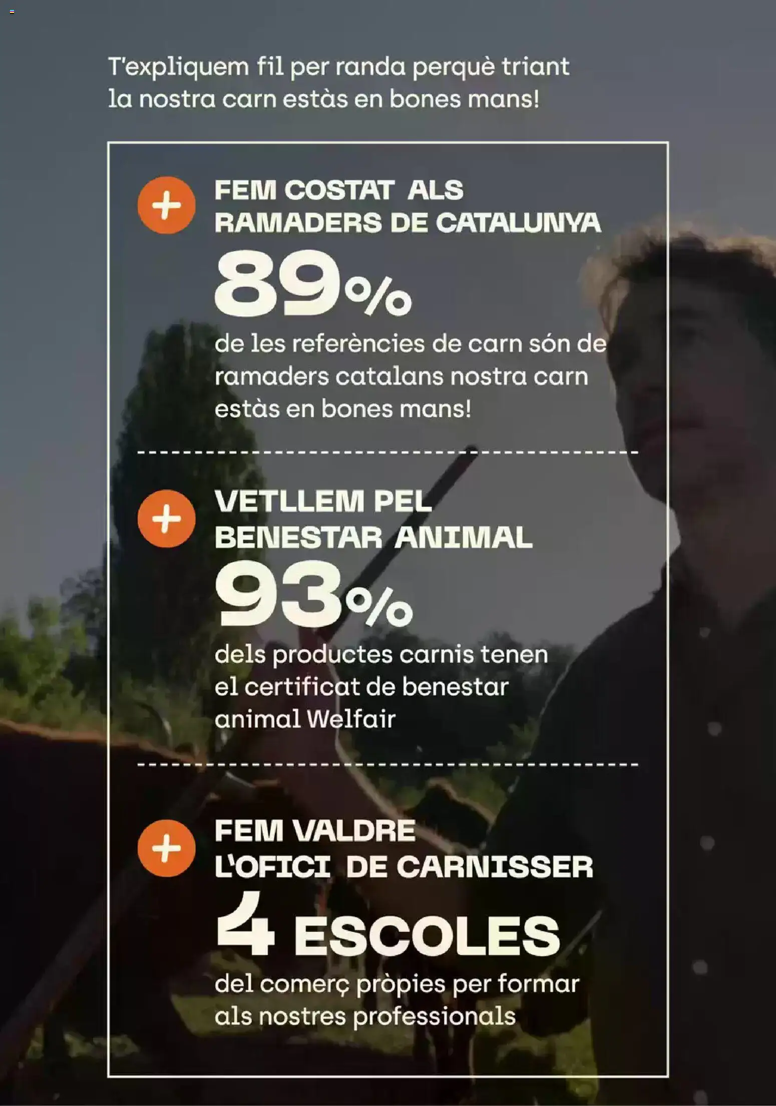 Bonpreu Fa Bo I Se'ns Nota │ válido desde el 04/08/2026 | Página: 12