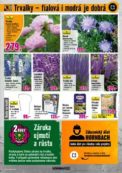 Náhled letáku HORNBACH leták - Trvalky od 06.05.2026 | Strana: 3