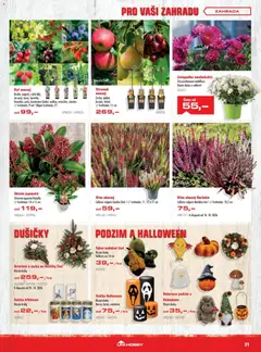Náhled letáku Uni Hobby leták od 01.10.2026 | Strana: 31 | Produkty: Vřes, Květináče, Zahrada, Dekorace