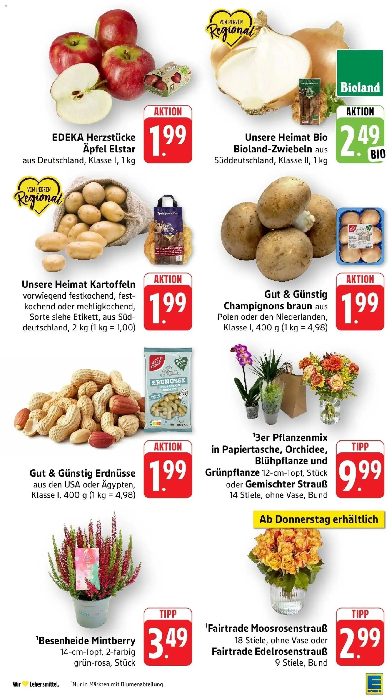 E center Prospekt Nürtingen (ab 07.09.2026) zum Blättern | Seite: 11 | Produkte: Erdnüsse, Vase, Champignons, Kartoffeln