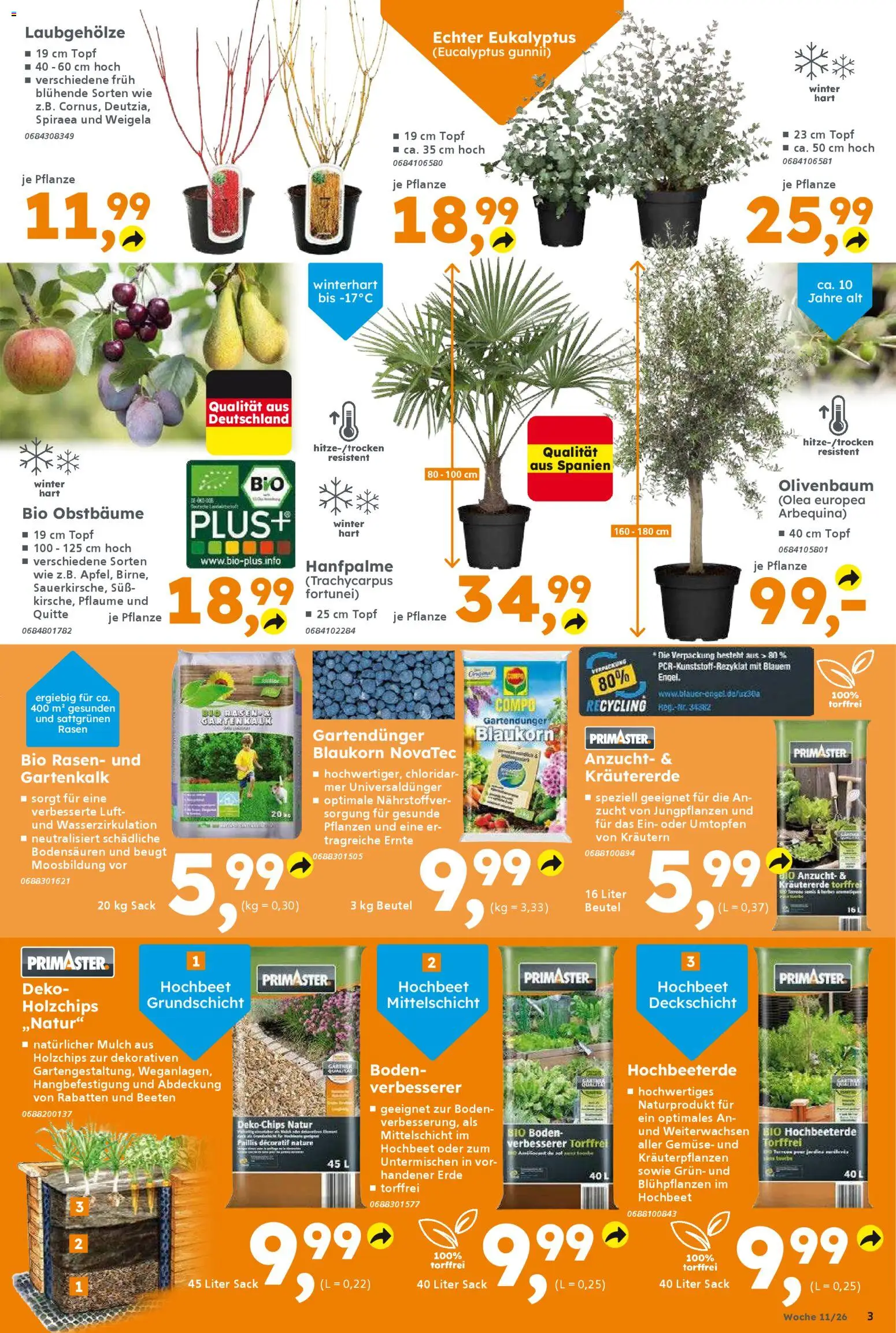 Globus Baumarkt Prospekt 	 – gültig ab 09.03.2026 | Seite: 3 | Produkte: Hochbeet, Gemüse