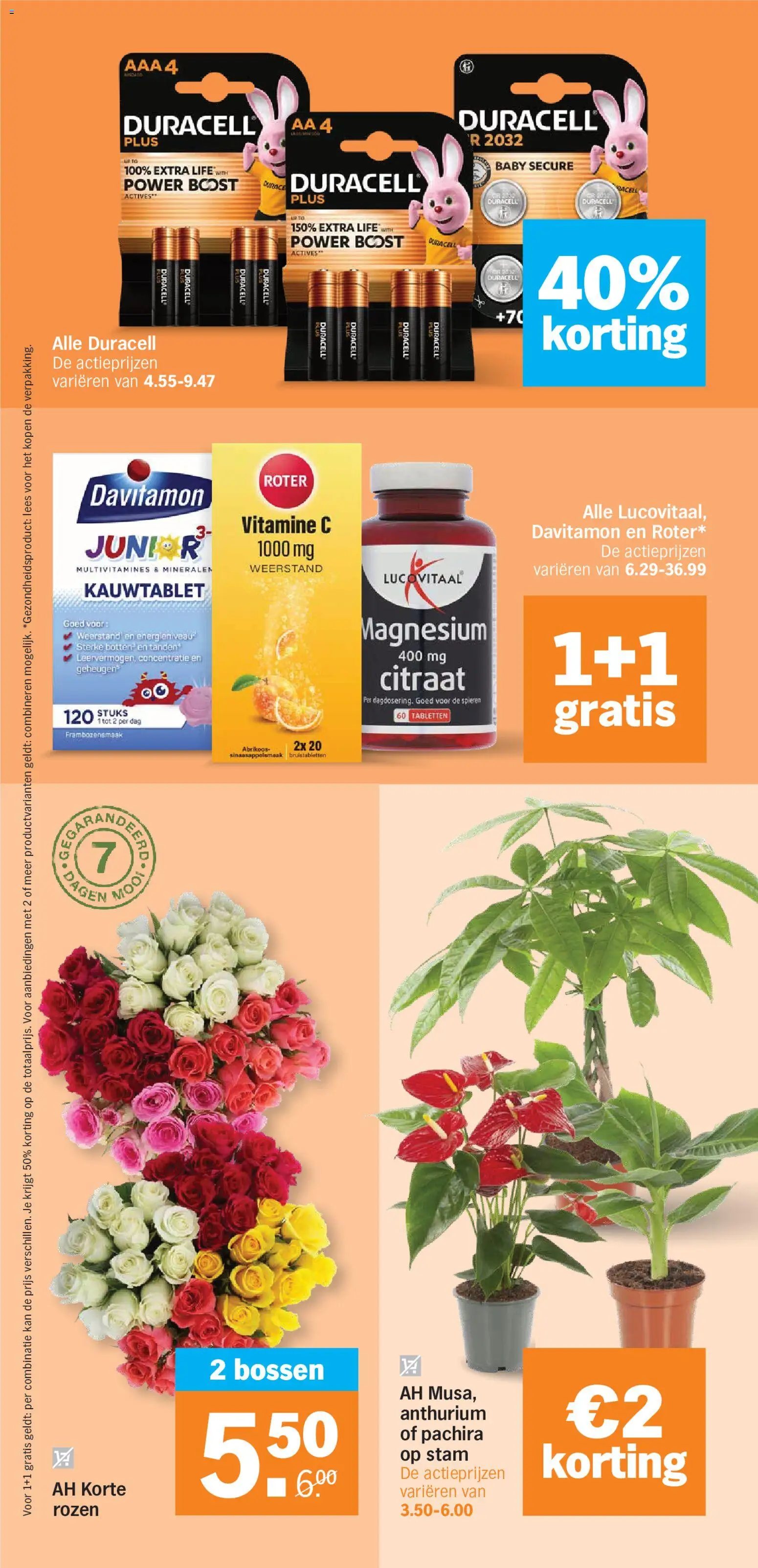 {H1} | Pagina: 32 | Producten: Kan, Bruistabletten, Vitamine C, Abrikoos