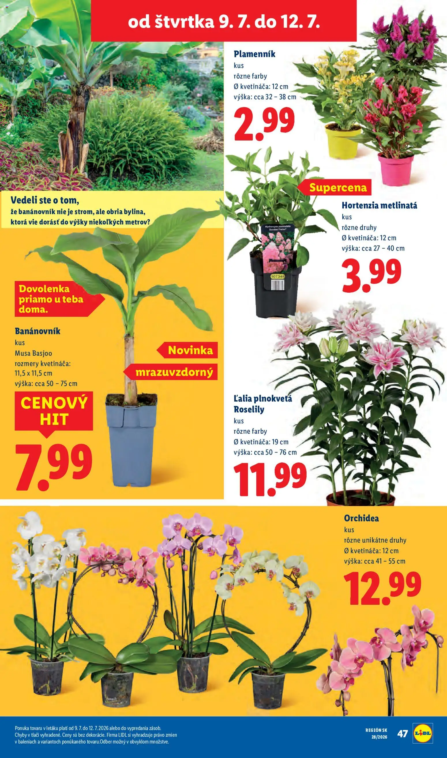 Nové Lidl akcie – leták je platný od 06.07.2026 | Strana: 99