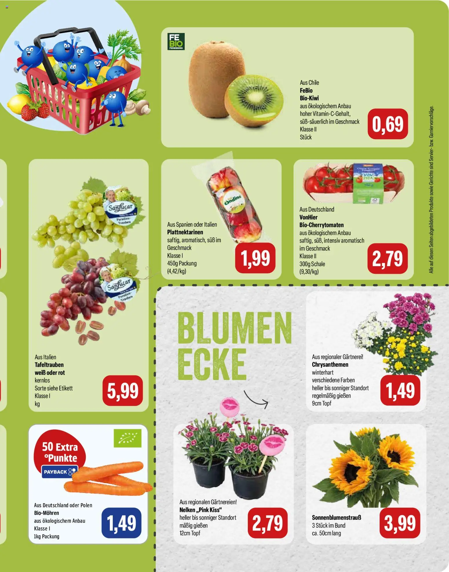 Feneberg Angebote – gültig ab 23.07.2026 | Seite: 9 | Produkte: Blumen